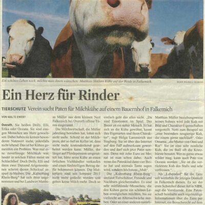 Kuhrettung Herz Fuer Rinder Zeitungsartikel Rhein Berg Overath