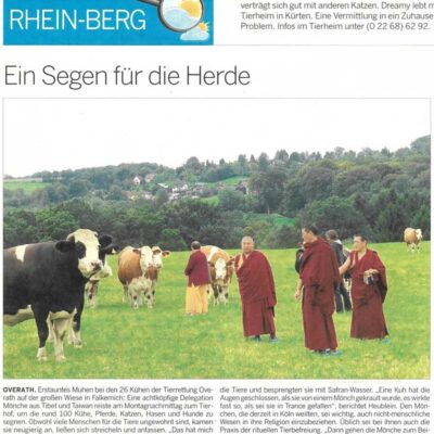 Kuhrettung Moenche Segen Besuch Zeitungsartikel Rhein Berg Overath