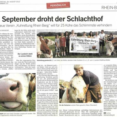 Kuhrettung Schlachthof Droht Kuehen Zeitungsartikel Rhein Berg Overath